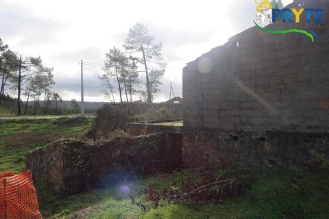 Ruinere i Serta, Castelo Branco, Serta - € 39.000 | Ref: AA212 - foto 11