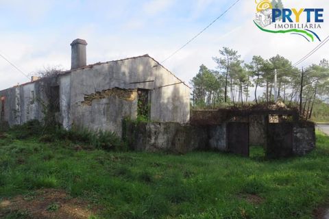 Ruinere i Serta, Castelo Branco, Serta - € 39.000 | Ref: AA212 - foto 19