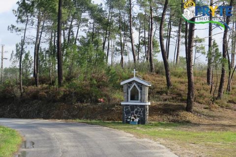 Ruinere i Serta, Castelo Branco, Serta - € 39.000 | Ref: AA212 - foto 20