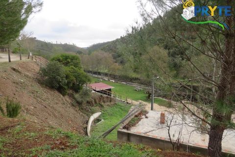 Ruinere i Serta, Castelo Branco, Serta - € 39.000 | Ref: AA212 - foto 21