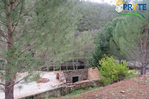 Ruinere i Serta, Castelo Branco, Serta - € 39.000 | Ref: AA212 - foto 22