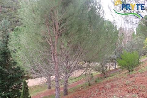 Ruinere i Serta, Castelo Branco, Serta - € 39.000 | Ref: AA212 - foto 25