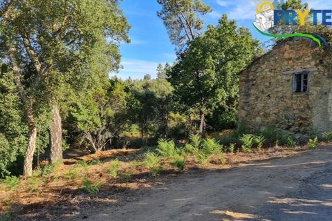 Ruinere i Castelo Branco, Castelo Branco, Castelo Branco - € 18.000 | Ref: AS106 - foto 6