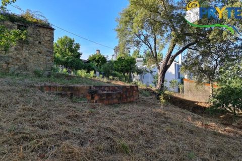 Ruinere i Castelo Branco, Castelo Branco, Castelo Branco - € 18.000 | Ref: AS106 - foto 9