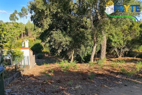 Ruinere i Castelo Branco, Castelo Branco, Castelo Branco - € 18.000 | Ref: AS106 - foto 10
