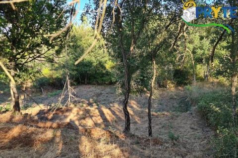Ruinere i Castelo Branco, Castelo Branco, Castelo Branco - € 18.000 | Ref: AS106 - foto 11