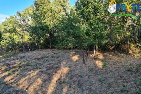 Ruinere i Castelo Branco, Castelo Branco, Castelo Branco - € 18.000 | Ref: AS106 - foto 12