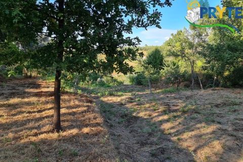 Ruinere i Castelo Branco, Castelo Branco, Castelo Branco - € 18.000 | Ref: AS106 - foto 13