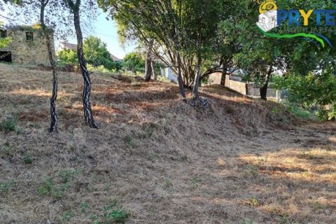 Ruinere i Castelo Branco, Castelo Branco, Castelo Branco - € 18.000 | Ref: AS106 - foto 14