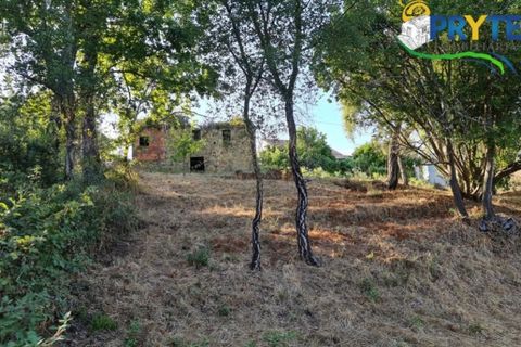 Ruinere i Castelo Branco, Castelo Branco, Castelo Branco - € 18.000 | Ref: AS106 - foto 15