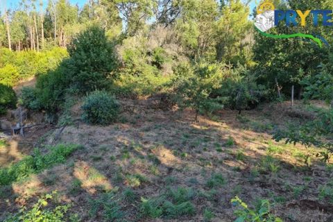 Ruinere i Castelo Branco, Castelo Branco, Castelo Branco - € 18.000 | Ref: AS106 - foto 16