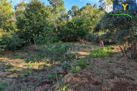 Ruinere i Castelo Branco, Castelo Branco, Castelo Branco - € 18.000 | Ref: AS106 - foto 17