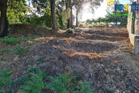 Ruinere i Castelo Branco, Castelo Branco, Castelo Branco - € 18.000 | Ref: AS106 - foto 18