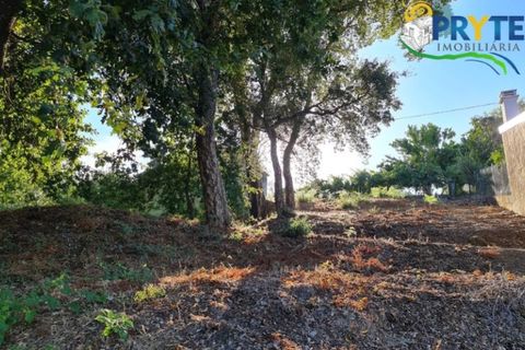 Ruinere i Castelo Branco, Castelo Branco, Castelo Branco - € 18.000 | Ref: AS106 - foto 20