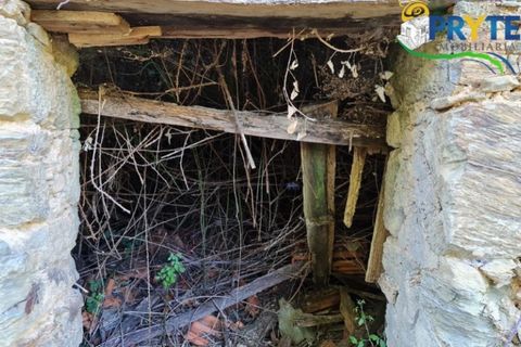 Ruinere i Castelo Branco, Castelo Branco, Castelo Branco - € 18.000 | Ref: AS106 - foto 21