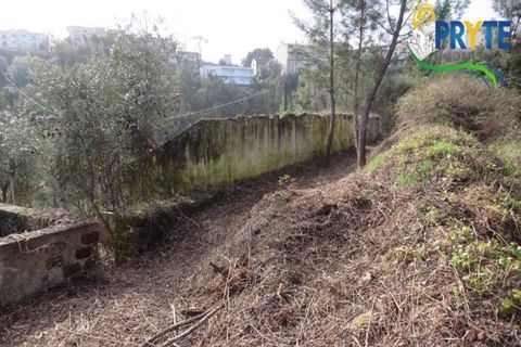 Helårsgrund i Serta, Castelo Branco, Serta - € 129.000 | Ref: AA159 - foto 3