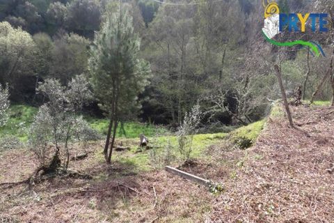 Helårsgrund i Serta, Castelo Branco, Serta - € 129.000 | Ref: AA159 - foto 9