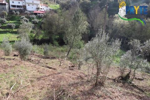 Helårsgrund i Serta, Castelo Branco, Serta - € 129.000 | Ref: AA159 - foto 10