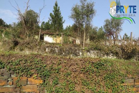 Helårsgrund i Serta, Castelo Branco, Serta - € 129.000 | Ref: AA159 - foto 12