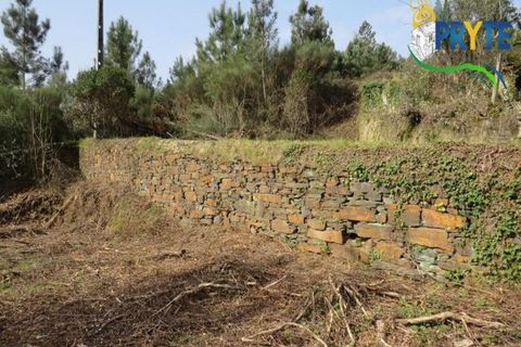 Helårsgrund i Serta, Castelo Branco, Serta - € 129.000 | Ref: AA159 - foto 14