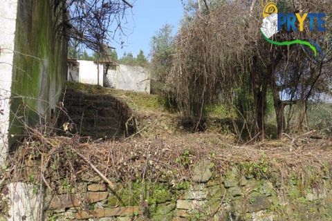 Helårsgrund i Serta, Castelo Branco, Serta - € 129.000 | Ref: AA159 - foto 15