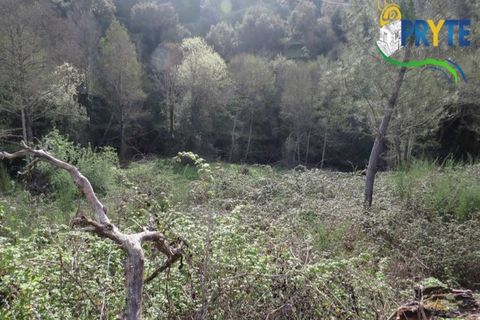 Helårsgrund i Serta, Castelo Branco, Serta - € 129.000 | Ref: AA159 - foto 19