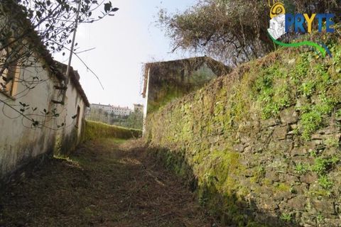 Helårsgrund i Serta, Castelo Branco, Serta - € 129.000 | Ref: AA159 - foto 20
