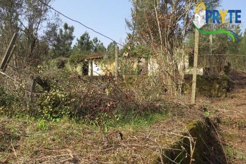 Helårsgrund i Serta, Castelo Branco, Serta - € 129.000 | Ref: AA159 - foto 22