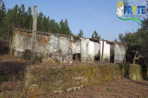 Helårsgrund i Serta, Castelo Branco, Serta - € 129.000 | Ref: AA159 - foto 23