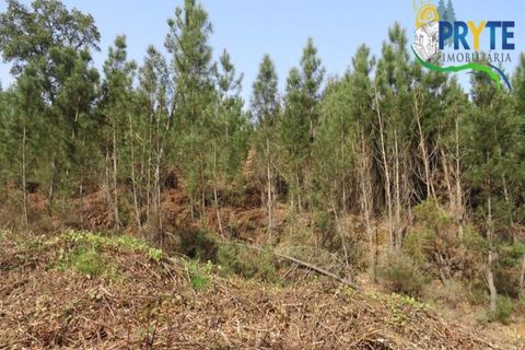 Helårsgrund i Serta, Castelo Branco, Serta - € 129.000 | Ref: AA159 - foto 24