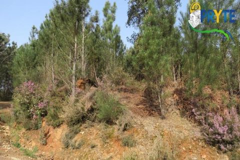 Helårsgrund i Serta, Castelo Branco, Serta - € 129.000 | Ref: AA159 - foto 27