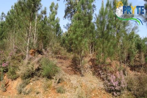 Helårsgrund i Serta, Castelo Branco, Serta - € 129.000 | Ref: AA159 - foto 28