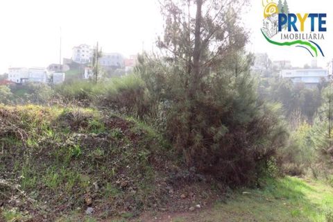 Helårsgrund i Serta, Castelo Branco, Serta - € 129.000 | Ref: AA159 - foto 29