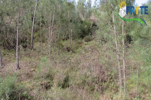 Helårsgrund i Serta, Castelo Branco, Serta - € 129.000 | Ref: AA159 - foto 34