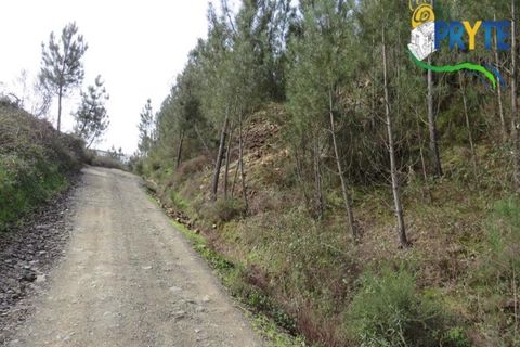 Helårsgrund i Serta, Castelo Branco, Serta - € 129.000 | Ref: AA159 - foto 35