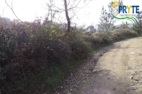 Helårsgrund i Serta, Castelo Branco, Serta - € 129.000 | Ref: AA159 - foto 36