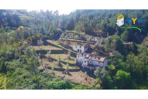 Helårsgrund i Serta, Castelo Branco, Serta - € 129.000 | Ref: AA159 - foto 39