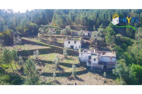 Helårsgrund i Serta, Castelo Branco, Serta - € 129.000 | Ref: AA159 - foto 40