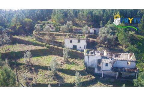 Helårsgrund i Serta, Castelo Branco, Serta - € 129.000 | Ref: AA159 - foto 41
