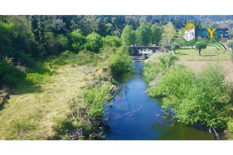 Helårsgrund i Serta, Castelo Branco, Serta - € 129.000 | Ref: AA159 - foto 44