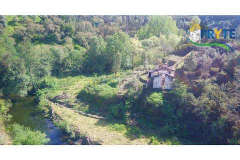 Helårsgrund i Serta, Castelo Branco, Serta - € 129.000 | Ref: AA159 - foto 46