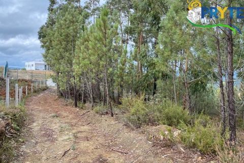 Helårsgrund i Serta, Castelo Branco, Serta - € 34.500 | Ref: MG104 - foto 1