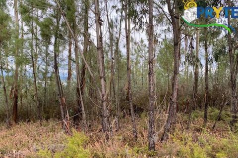 Helårsgrund i Serta, Castelo Branco, Serta - € 34.500 | Ref: MG104 - foto 2