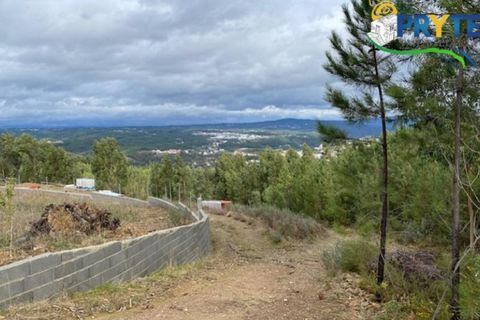 Helårsgrund i Serta, Castelo Branco, Serta - € 34.500 | Ref: MG104 - foto 3