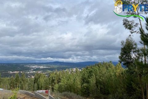 Helårsgrund i Serta, Castelo Branco, Serta - € 34.500 | Ref: MG104 - foto 4