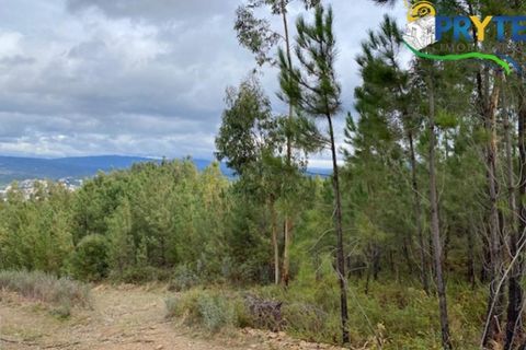 Helårsgrund i Serta, Castelo Branco, Serta - € 34.500 | Ref: MG104 - foto 7