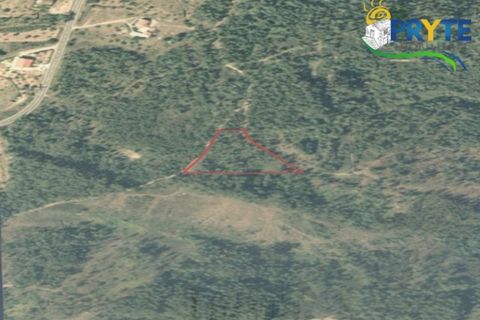 Helårsgrund i Serta, Castelo Branco, Serta - € 34.500 | Ref: MG104 - foto 8