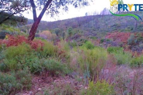 Helårsgrund i Serta, Castelo Branco, Serta - € 18.500 | Ref: AA154 - foto 1
