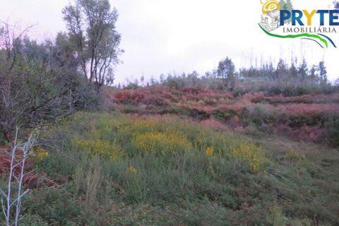 Helårsgrund i Serta, Castelo Branco, Serta - € 18.500 | Ref: AA154 - foto 2