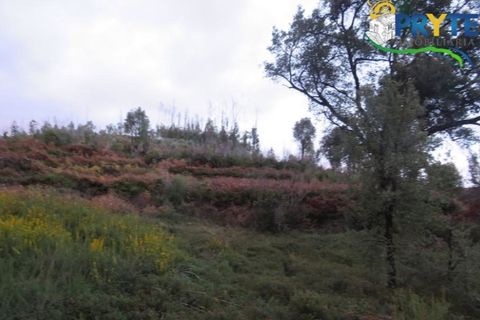 Helårsgrund i Serta, Castelo Branco, Serta - € 18.500 | Ref: AA154 - foto 3